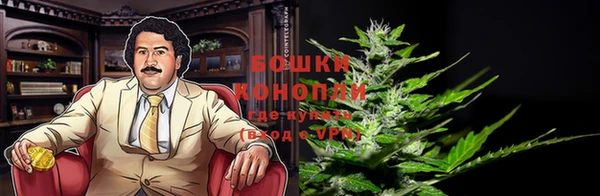мескалин Богородицк