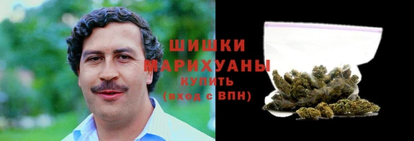 дживик Богородск