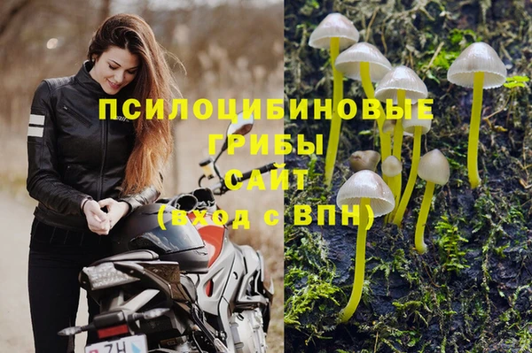 мескалин Богородицк