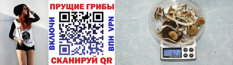Псилоцибиновые грибы Magic Shrooms Коркино