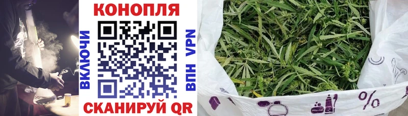 Конопля сатива  цены наркотик  Коркино 